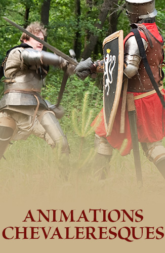 Animations chevaleresques | Aushopping Noyelles