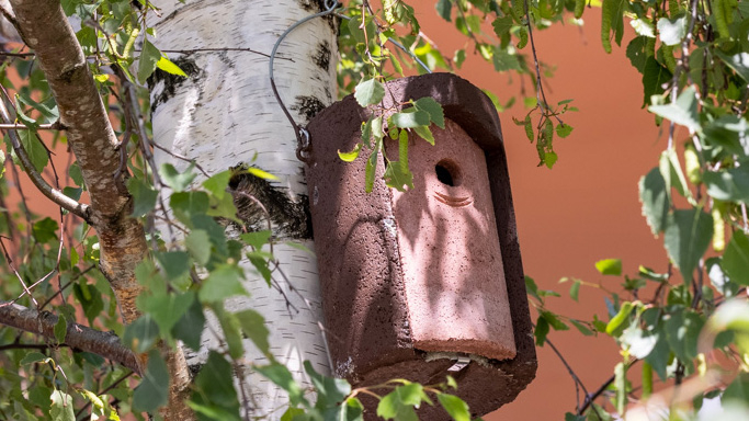 Nichoirs à oiseaux - Aushopping Noyelles